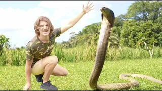 Surviving the JUNGLE of KING COBRA Indonesia! (Venomous SNAKE Documentary)