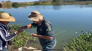 Mais uma modalidade de pesca sem isca (rabichinho colorido) 1ªparte