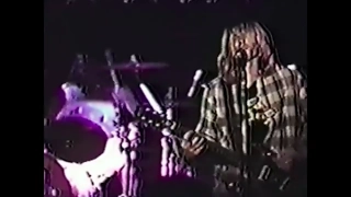 BREED by Nirvana - 32 performances spanning 5 years