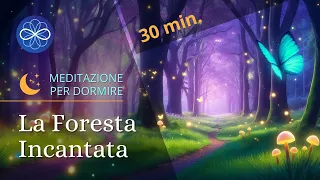 La foresta incantata - meditazione guidata per dormire bene e sognare - 30 min.