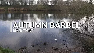 AUTUMN BARBEL FISHING RIVER TRENT - VIDEO 63