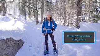 Winter Wonderland in the San Jacinto Wilderness in 4K | Snowshoeing | Palm Springs Aerial Tramway