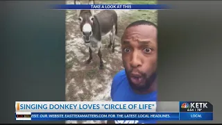 Singing donkey loves circle of life