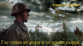 "-Где трава от росы и от крови сырая..." Стих Алексея Суркова про войну.