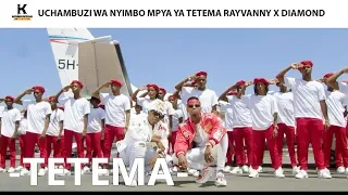 Rayvanny ft Diamond Platnumz - TETEMA (Video Uchambuzi)