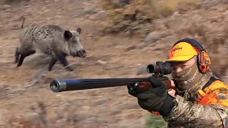 DRIVEN HUNT FOR WILD BOAR in Turkey ep 1 of 3 - "The beat goes on" The First Years (2012-2016)