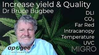 How to increase yield and quality with Dr Bruce Bugbee