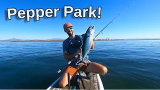 Fishing for Whatever Bites: Pepper Park San Diego Bay