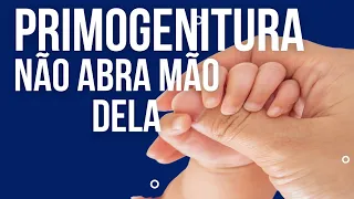 o segredo por trás da  primogenitura na bíblia- primogênito herdará o reino-Direito de primogenitura