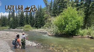Fly-Fishing on the Upper Wind River With Wyoming's Best Guest Dude Ranch!