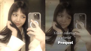 Yellow coloring tutorial!!(Prequel)