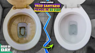 HOW TO CLEAN TOILET VESSEL WITHOUT USING CHEMICALS, GROUNDED AND SCALED FOR TWO DOLLARS LESS