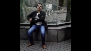 Московский зоопарке  нападения белого тигра с сзади част2 10.07.2017