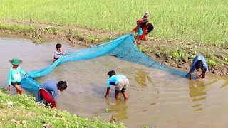 Amazing Net Fishing Video - Village People Catching Fish By Net in River (Part-04)