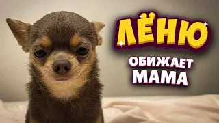 Лёню обижает мама