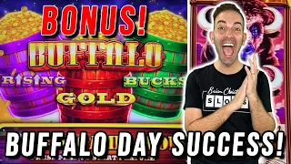 Buffalo Day SUCCESS! 🦬 Triple Power MEGA Bonus