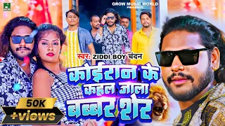 #Ziddi_Boy_Chandan New Song | कोइरान के कहल जाला बब्बर शेर | #Koiran Song Bhojpuri