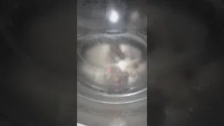 Lighter explodes in washing machine. EPIC EXPLOSION for such little lighter and half empty.