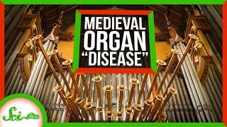 The "Disease" That Struck Medieval Church Organs