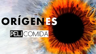 Orígenes (La de los ojos) | En 12 Minutos