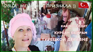 Как проходит Праздник Курбан Байрам в турецкой деревне/Овца меня не признала)Какие обычаи/Наши гости