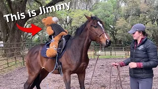 I Was Too Scared To Ride Him, So We Tied Jimmy On...