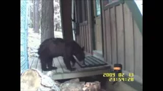 Electric Doormat Successfully Deters Bear in Lake Tahoe, CA