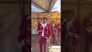 Mi Reyna y mi tesoro mariachi internacional los Pérez