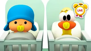 Mon Bébé Petit Frère Est Arrivé|DESSINS ANIMÉS,VIDEOS pour BÉBÉ en Direct| Pocoyo LIVE en FRANÇAIS