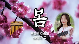 봄 (배재혁 곡)/팬플룻 (Panflute)연주 이솔이