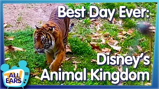 The Best Day Ever in Disney's Animal Kingdom!