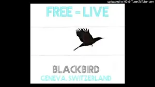 Free - Walk In My Shadow - The Blackbird