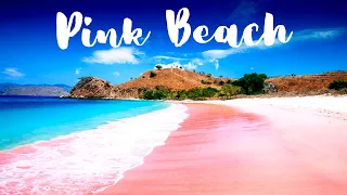 Top 10 Best Pink Beaches In The World 2020