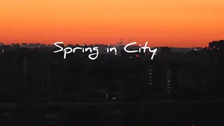 Spring in City. 2024