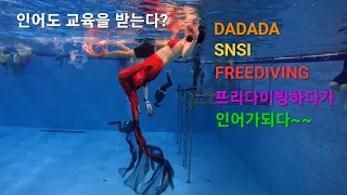 #FREEDIVING  프리다이빙 하다가 인어가된 이야기