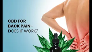 CBD For Back Pain - Does It Work?