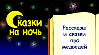 Рассказы и сказки про медведей - Слушать