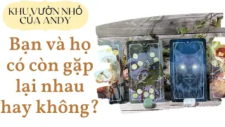 Chọn 1 tụ bài Tarot - Bạn và họ có gặp lại nhau không? - Alo Andy