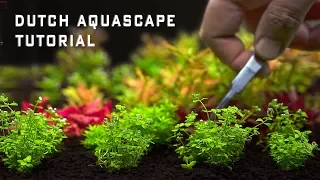 Planted Aquarium Tutorial - Easy Dutch Aquascape