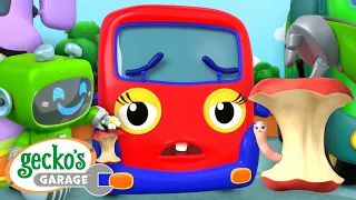 Mechanical Wobbly Tooth Hunt | Baby Truck's Lost Tooth | Gecko's Garage | Cartoons For Kids