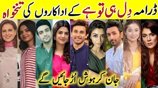 Dil Hi Tou Hai Drama Cast Salary Last Episode 65Dil Hi Tou Hai All Cast Salary #AliAnsari#MariaMalik