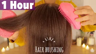 [ASMR] Soothing Hair Brushing 1h with Two Tangle Teezers |  No Talking