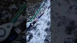 Barefoot In The Snow