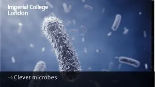 Clever microbes