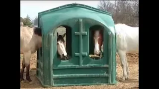 Covered Horse Hay Feeder