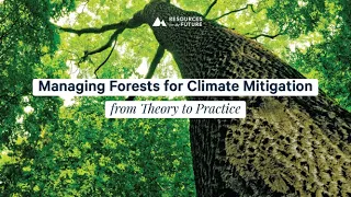 RFF Live: Managing Forests for Climate Mitigation—from Theory to Practice