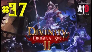 Divinity: Original Sin 2 прохождение ❤ ДИВИНИТИ 2 ❤#37 Победа на Арене Дрифтвуда и тайник Арены