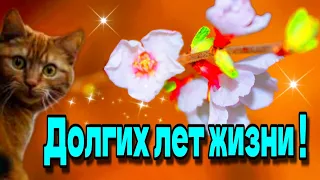 💗Доброго утра благословенного дня!🌞Наилучшие пожелания тебе и близким🎵Красивое музыкальное пожелание