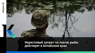 Нерестовый запрет на ловлю рыбы действует в Алтайском крае