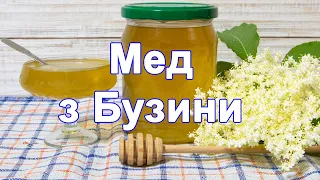 Смачний Мед з Бузини,Як зробити мед з Бузини,мед з квітів бузини,як приготувати мед,мед рецепт